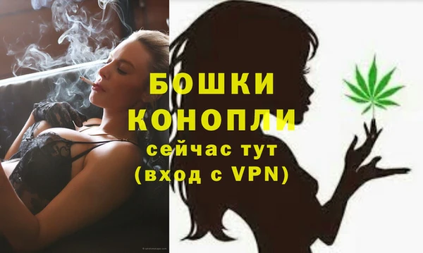 стафф Магадан