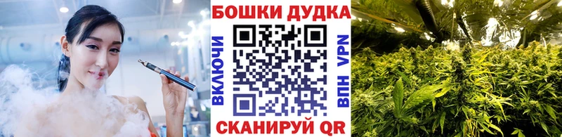 Бошки Шишки план  Пересвет 